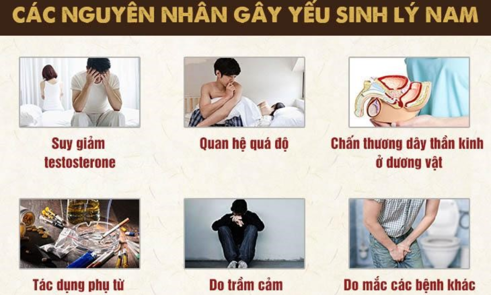 Nguyên nhân gây yếu sinh lý nam